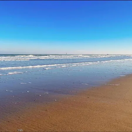 In Near Casino And Apartment