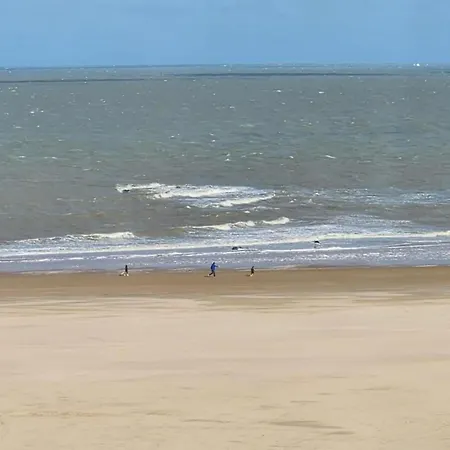 Appartement In Near Casino And Knokke-Heist