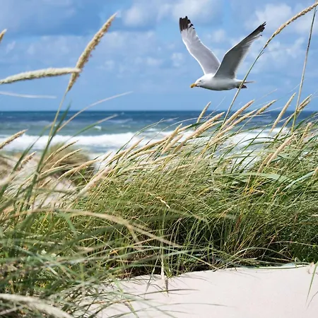 In Near Casino And Apartment *