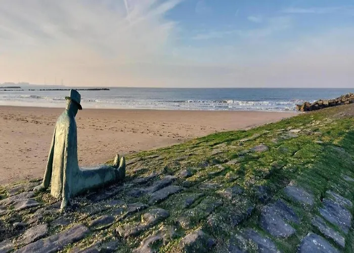 In Near Casino And * Knokke-Heist