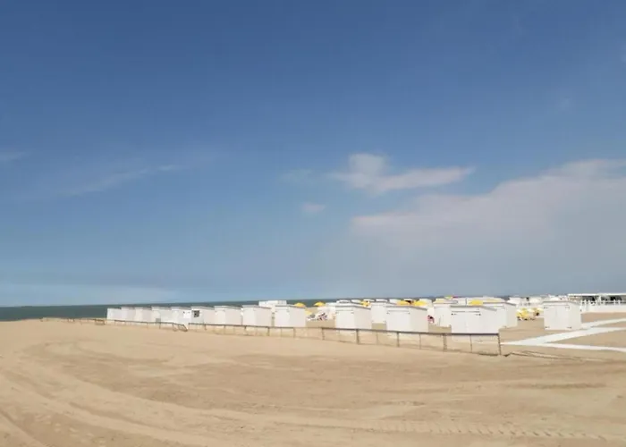 In Near Casino And Appartement Knokke-Heist