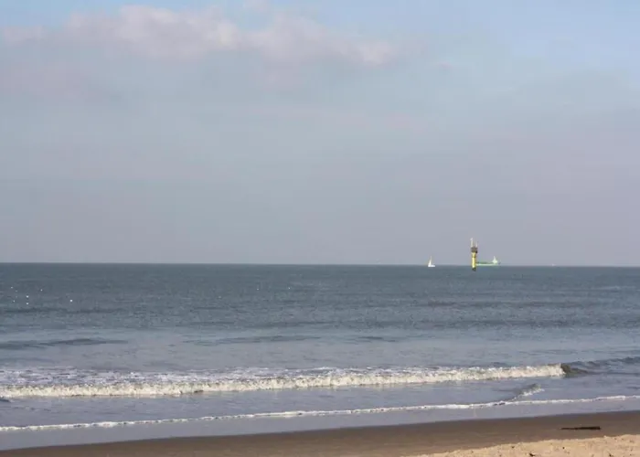 Appartement In Near Casino And *