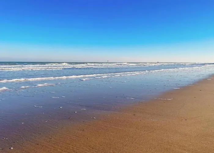 In Near Casino And Appartement