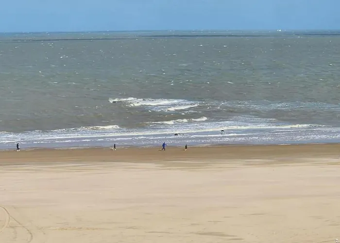 Appartement In Near Casino And Knokke-Heist