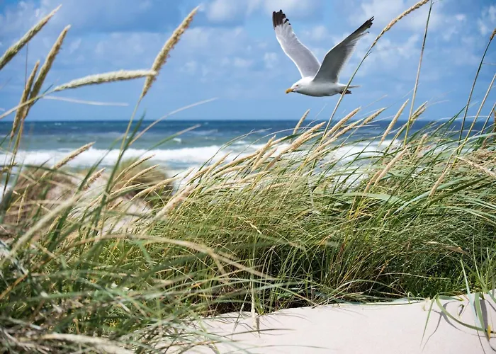 In Near Casino And Appartement *